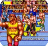 世界专业摔角 wwf wrestlefest arcade