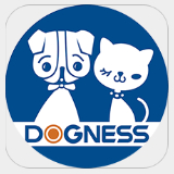 DOGNESS宠物喂食器